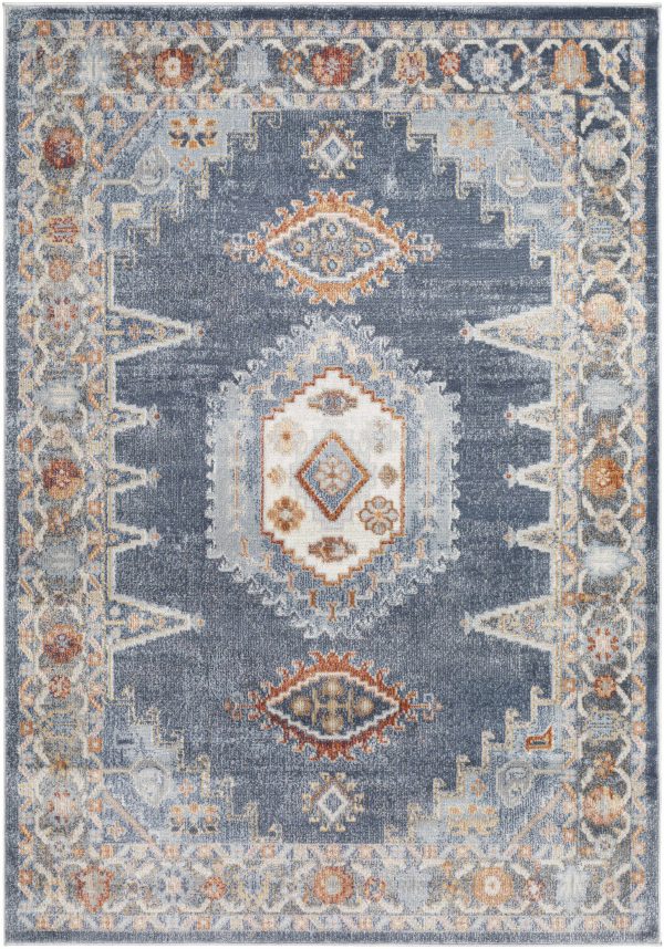 Driefontein Area Rug - Clearance For Sale - Image 2