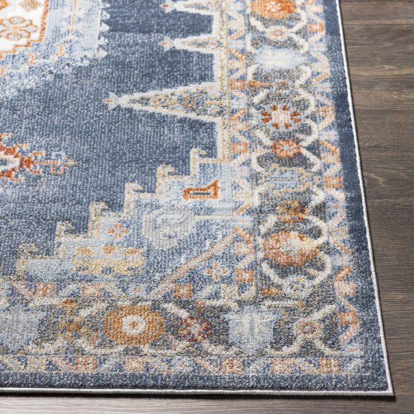Driefontein Area Rug - Clearance For Sale - Image 4