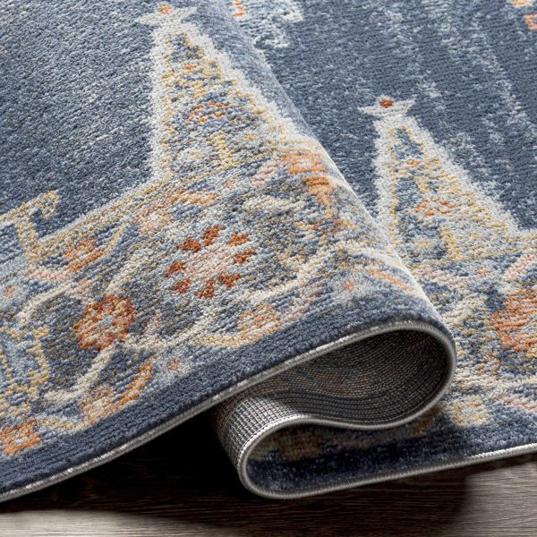 Driefontein Area Rug - Clearance For Sale - Image 5