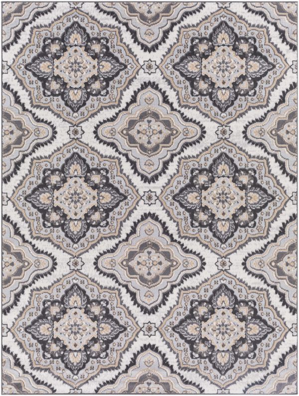 Hoopeston Area Rug - Clearance For Discount - Image 2