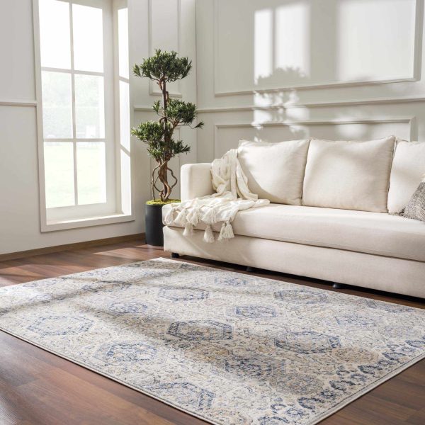 Parkerfield Cream & Blue Area Rug For Discount