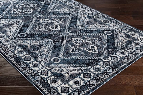 Triumph Area Rug - Clearance For Sale - Image 5