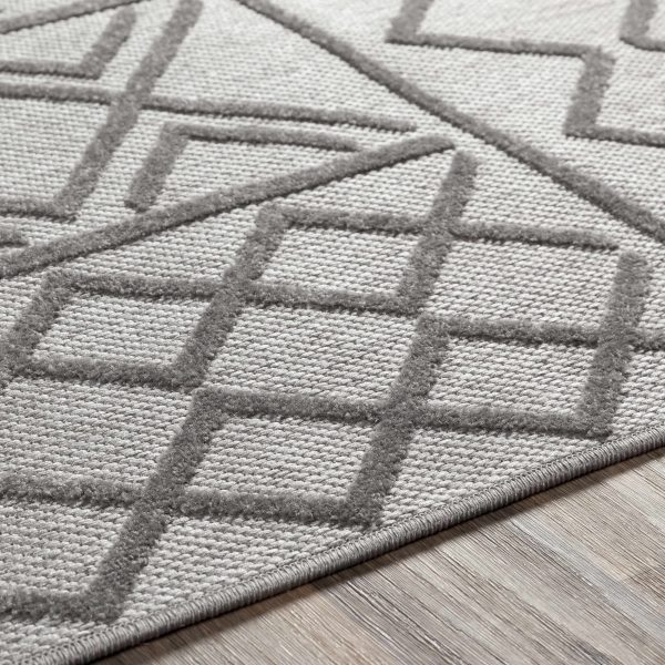 Duniplace Carpet - Clearance Hot on Sale - Image 3
