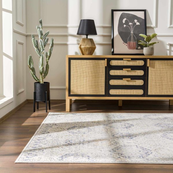 Parkerfield Cream & Blue Area Rug For Discount - Image 5