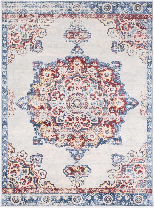 Carron Area Rug - Clearance Sale - Image 2