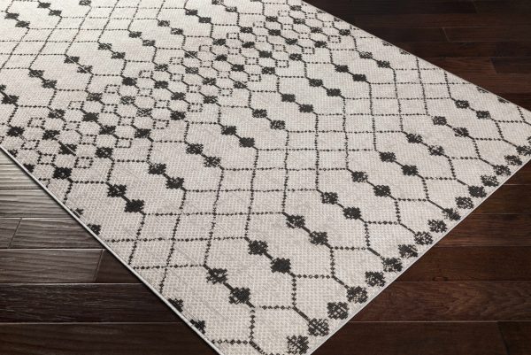 Sterrett Area Rug - Clearance on Sale - Image 5
