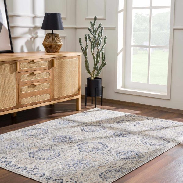 Parkerfield Cream & Blue Area Rug For Discount - Image 3