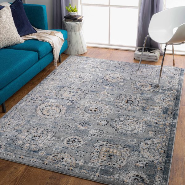 Alkimos Area Rug - Clearance on Sale