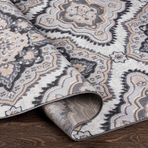 Hoopeston Area Rug - Clearance For Discount - Image 5
