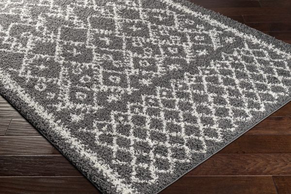 Beulah Gray Trellis Plush Rug - Clearance For Cheap - Image 4