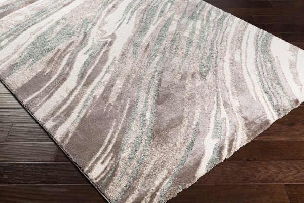 Brimscombe Area Rug - Clearance Fashion - Image 4