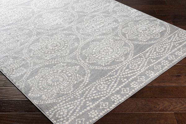 Bavon Gray Area Rug - Clearance Fashion - Image 3