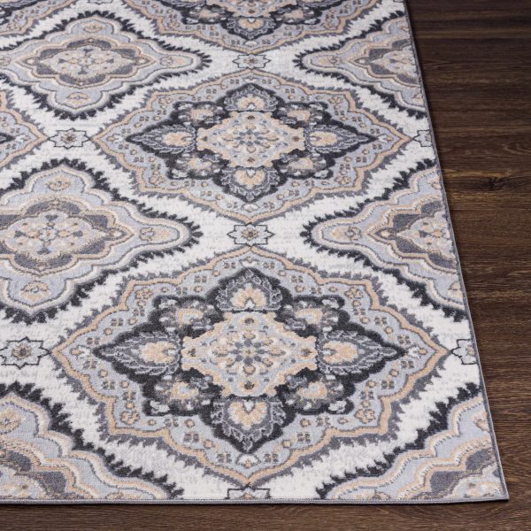 Hoopeston Area Rug - Clearance For Discount - Image 4